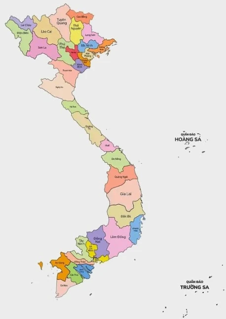 Hệ thống phân phối