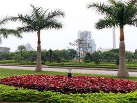 Cam Pha Cement: Vietnamese brand